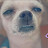 @user-hx5wh9qe4x