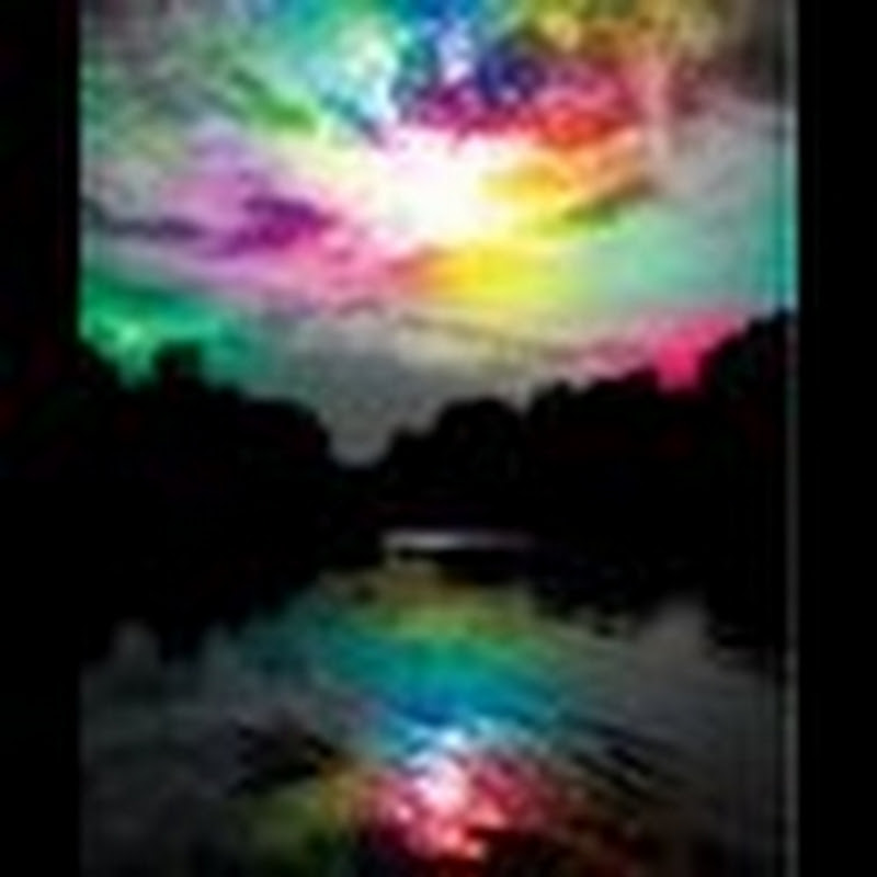 lizzee79