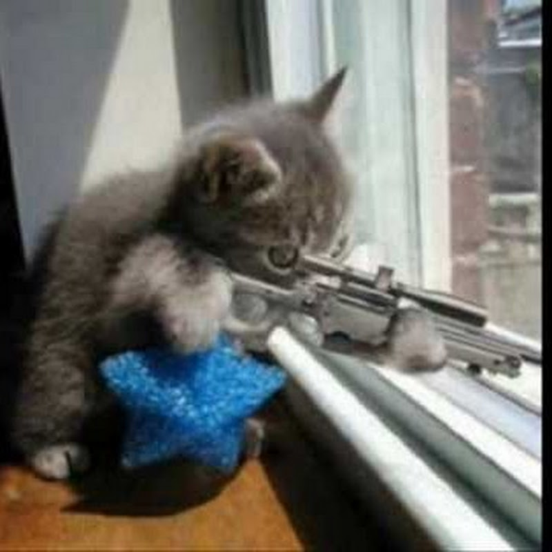Cattpro