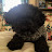 @oakley06013