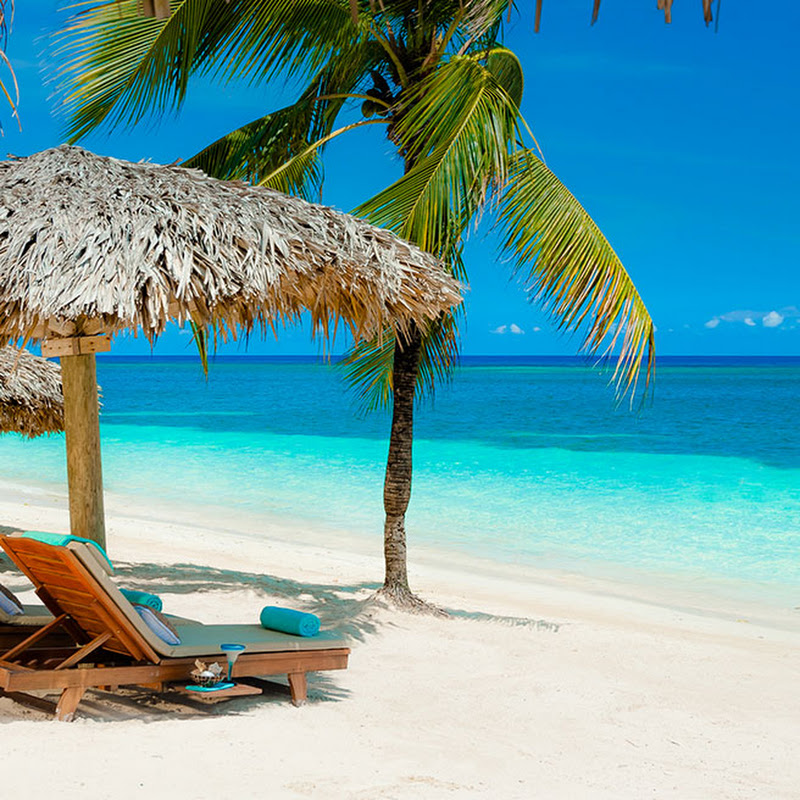 The Travel Virgin