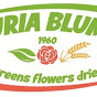 LIGURIA BLUMEN logo