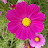@user-od8px1yd2v