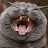 @Minecrafter-es2bw