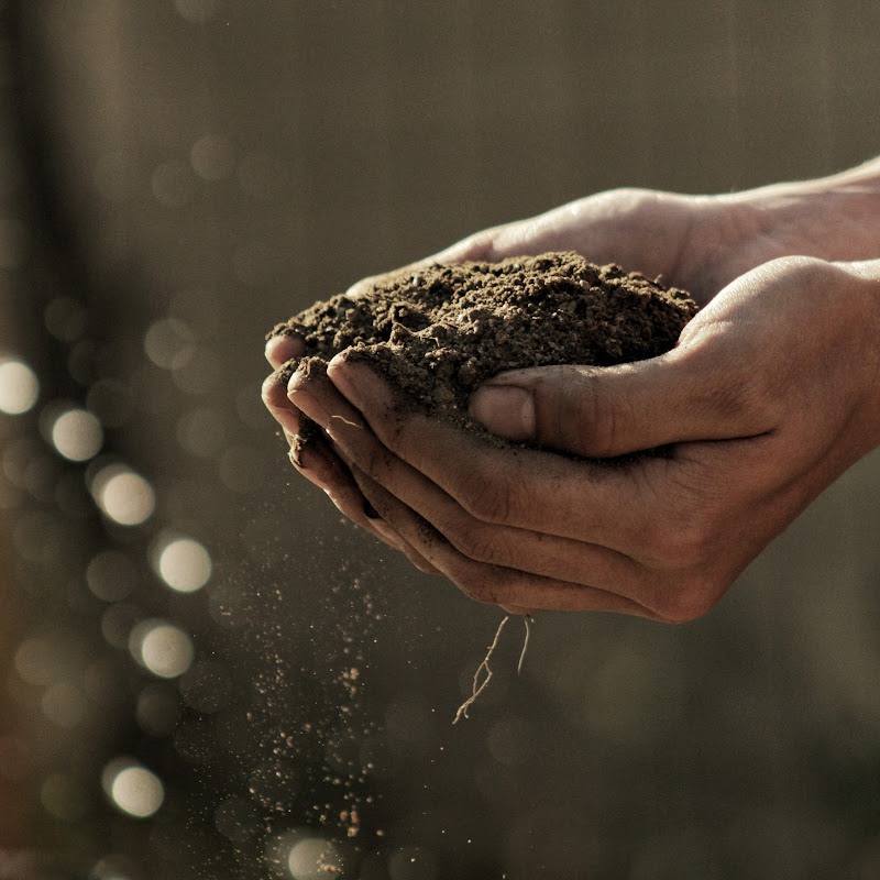 Garden and Outdoor Life
