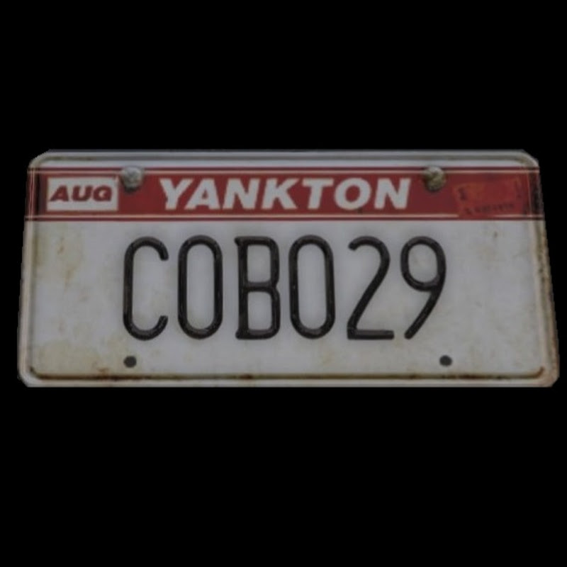 Cobo29
