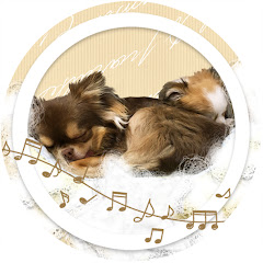 まろちょび日記