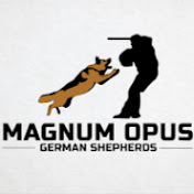 Magnum Opus German Shepherds