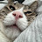 @user-zr3zx6op9h