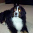 @davidschwegman7539's avatar