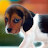 @Ноук's avatar
