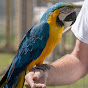 Cape Fear Parrot logo