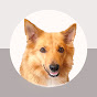 Icelandic Sheepdog Sara logo