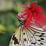 v-gJVzHNOcY-channel-avatar-Coobylicious Crafts