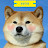 @햇쿠훗쿠쿳