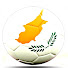 Channel Image
