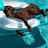 @AstarnetD's avatar