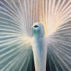 Sabin Balasa Animation Films