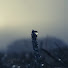 mQQgfnN1j30-channel-avatar-Relaxing Sounds For Sleep