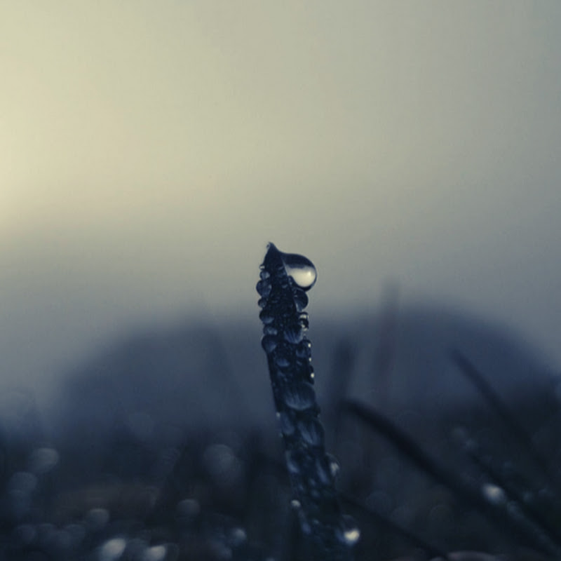 Relaxing Sounds For Sleep