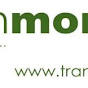 Transition Monmouth logo