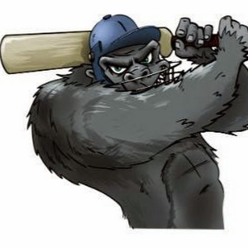 Guerilla Cricket