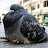 BulkyPigeon