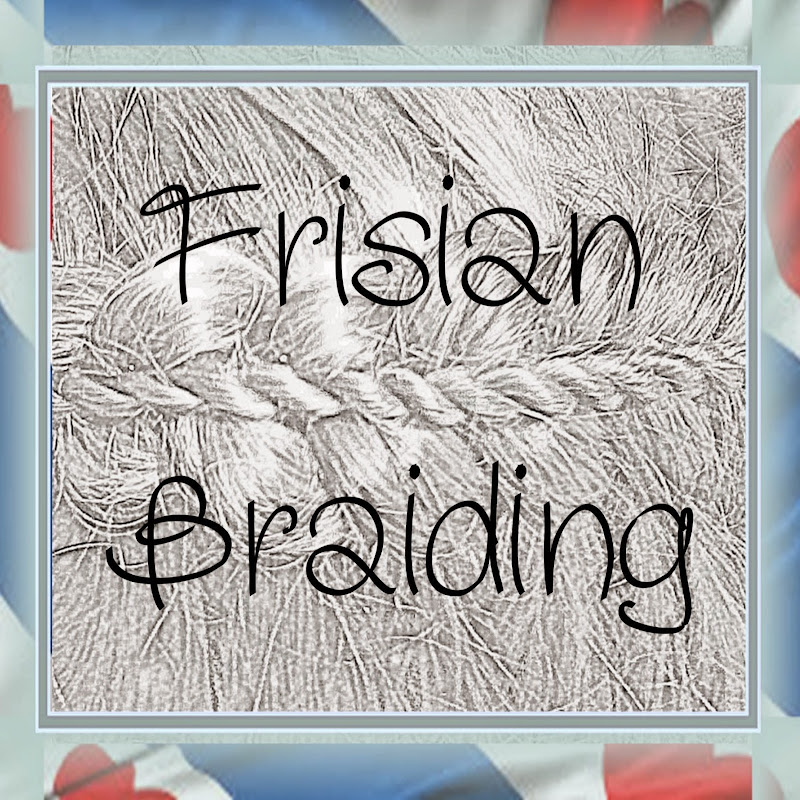 Frisian Braiding icon