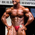 Greg Doucette Net Worth