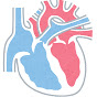 Pediatric Cardiology PLAYBOOK logo