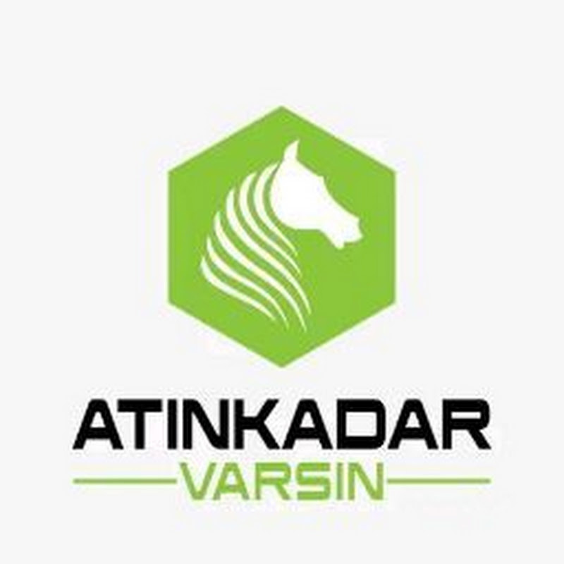 Atın Kadar Varsın - Tekin İlmaz