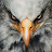 @AnonYmous-xq4so Avatar