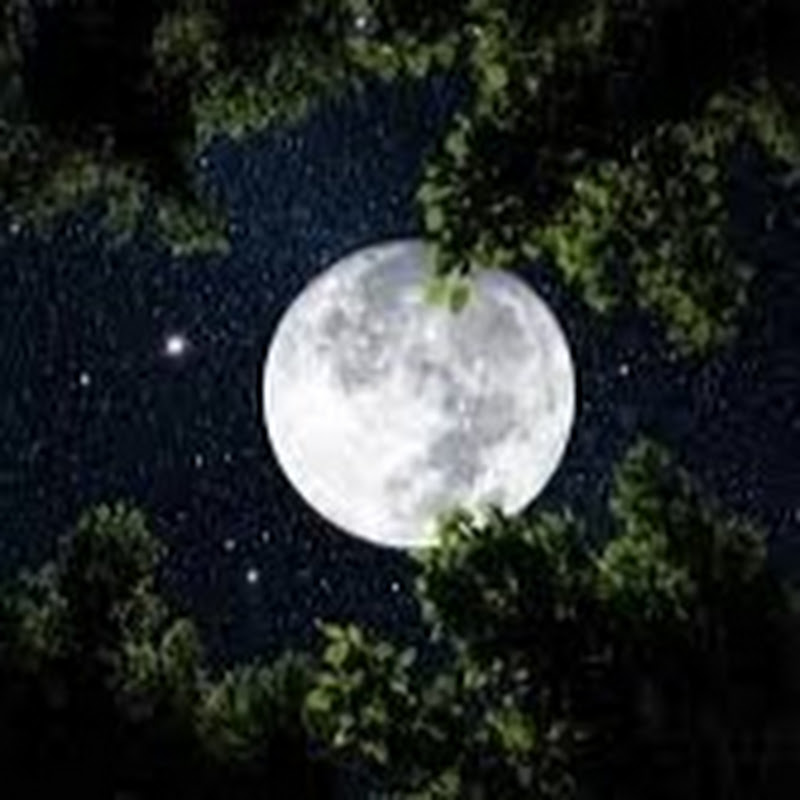 أماني السلطان