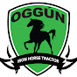 Oggún logo