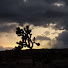 6ikF1h2QbM4-channel-avatar-High Desert Observatory