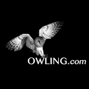 Owling.com