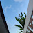 @user-hf5ju5kz4p