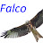 Falco Falcowski