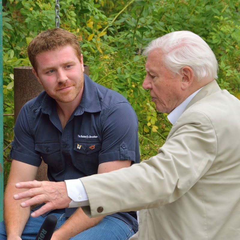 Wild Your Garden with Joel Ashton