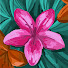 Channel Image