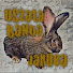 YXYVgdAwKvs-channel-avatar-Uszata Banda Jakuba