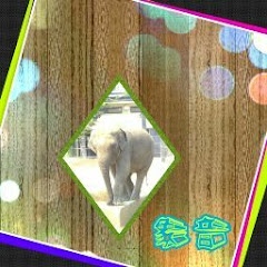 チャンネル象音