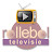 Rollebol TV