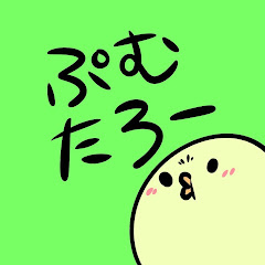 ぷむ太郎