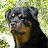 @keepithd2010 Avatar