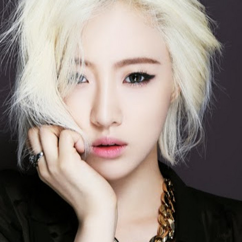 T-ara Brasil
