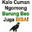 @burungbeo1686