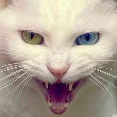 武勇伝VS修羅場ちゃんねる