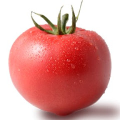 tomatoトマト