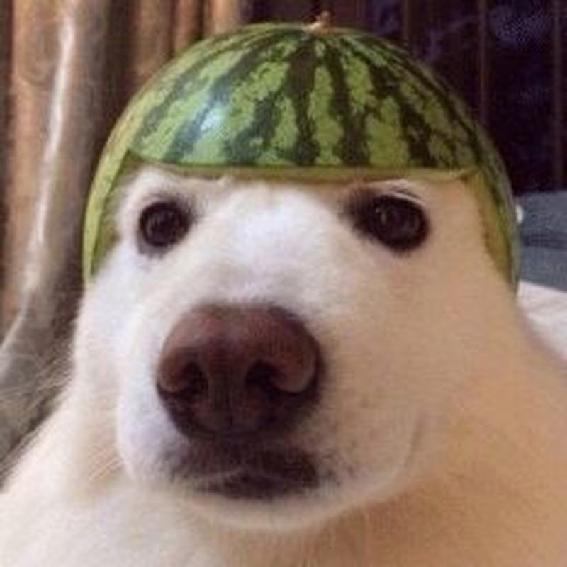 Ebarkstar